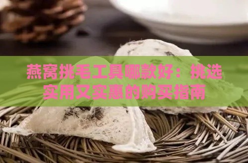 燕窝挑毛工具哪款好：挑选实用又实惠的购买指南