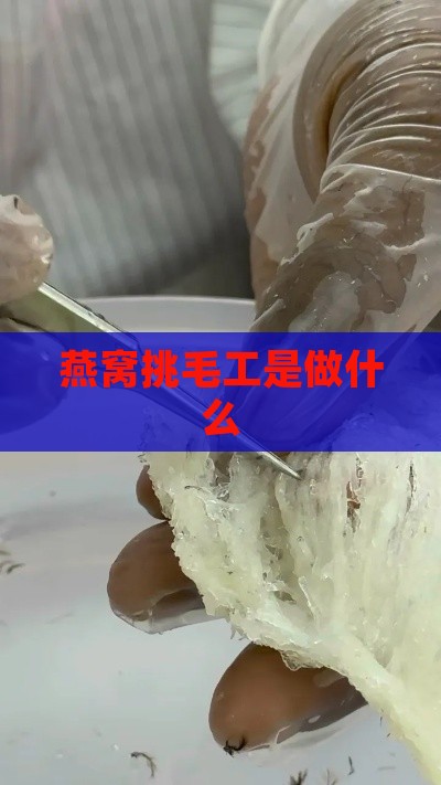 燕窝挑毛工是做什么