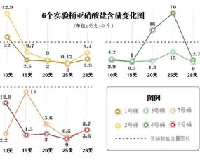 燕窝中亚硝酸盐含量解析：来源、危害及安全标准一览