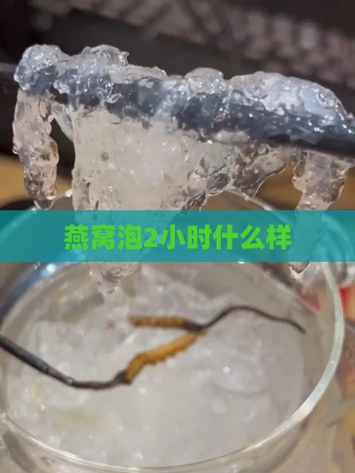 燕窝泡2小时什么样