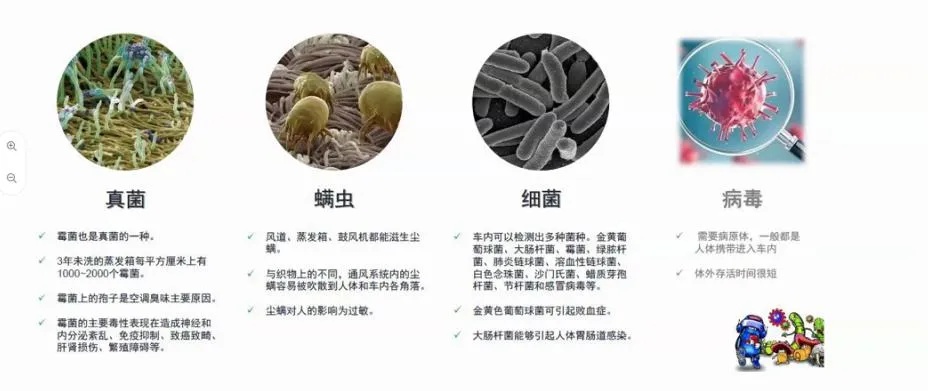 揭秘燕窝中常见菌类及其对健康的影响：全面解析燕窝下的微生物世界