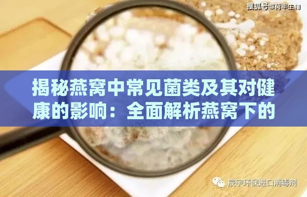 揭秘燕窝中常见菌类及其对健康的影响：全面解析燕窝下的微生物世界