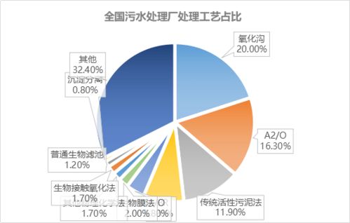 揭秘燕窝品质：深入解析二级燕窝的等级标准与特点