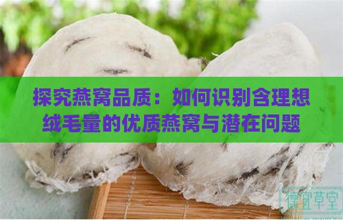 探究燕窝品质：如何识别含理想绒毛量的优质燕窝与潜在问题