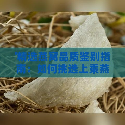 '精选燕窝品质鉴别指南：如何挑选上乘燕窝'