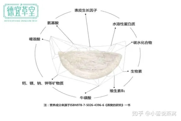 燕窝含唾液酸和哪些成分及其作用与特点