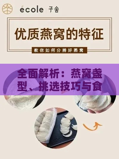 全面解析：燕窝盏型、挑选技巧与食用方法一览