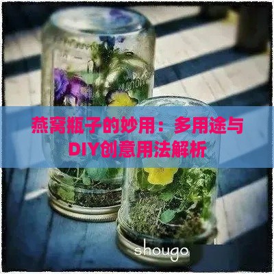 燕窝瓶子的妙用：多用途与DIY创意用法解析