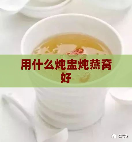 用什么炖盅炖燕窝好