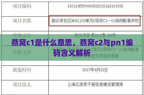 燕窝c1是什么意思，燕窝c2与pn1编码含义解析