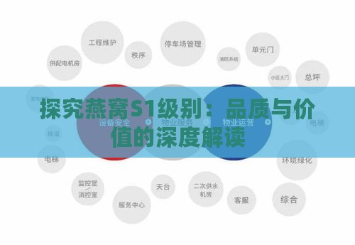 探究燕窝S1级别：品质与价值的深度解读