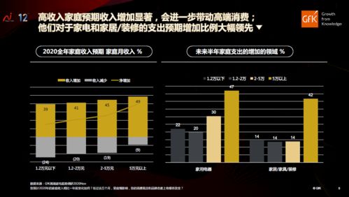 探究燕窝S1级别：品质与价值的深度解读