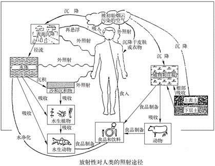 生长环境的探究：燕窝洞是在什么地方生长的及其具     置解析