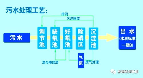 生长环境的探究：燕窝洞是在什么地方生长的及其具     置解析