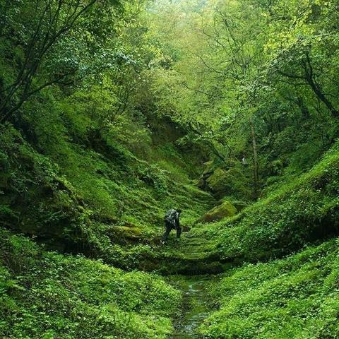 探秘燕窝洞：探险之旅是否值得一试？