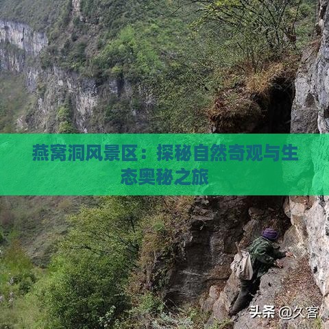 燕窝洞风景区：探秘自然奇观与生态奥秘之旅