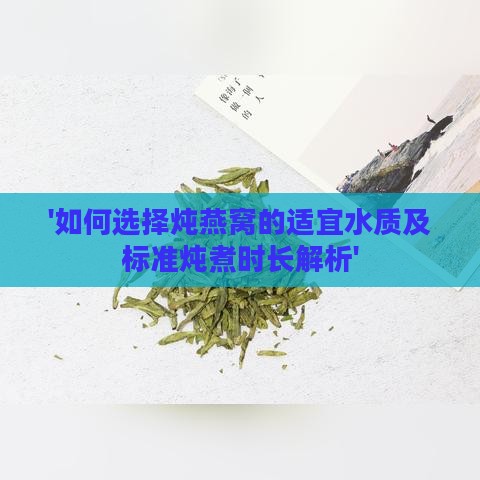 '如何选择炖燕窝的适宜水质及标准炖煮时长解析'