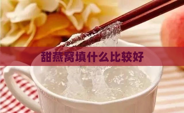 甜燕窝填什么比较好