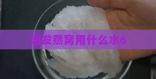 泡发燕窝用什么水6