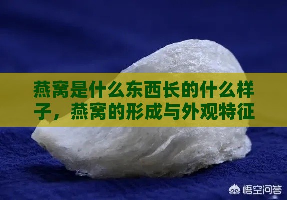 燕窝是什么东西长的什么样子，燕窝的形成与外观特征详解