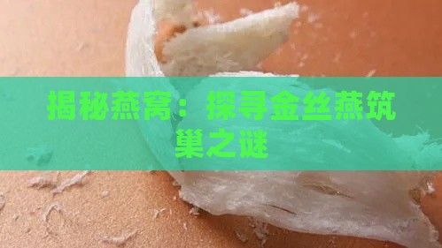 揭秘燕窝：探寻金丝燕筑巢之谜