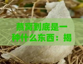 燕窝到底是一种什么东西：揭秘燕窝的真相与本质