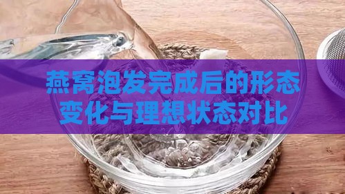 燕窝泡发完成后的形态变化与理想状态对比