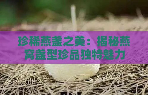 珍稀燕盏之美：揭秘燕窝盏型珍品独特魅力