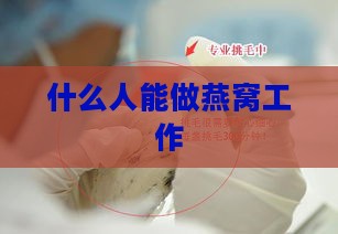 什么人能做燕窝工作