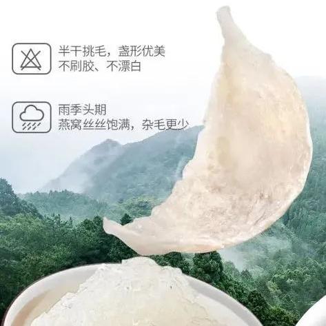 '挑选炖燕窝的理想椰汁：哪款椰汁更适合搭配燕窝炖煮'