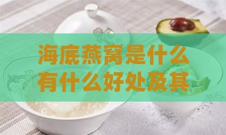 海底燕窝是什么有什么好处及其营养价值解析