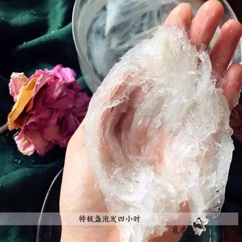 燕窝搭配指南：全面解析燕窝与各种食材的炖煮搭配方法