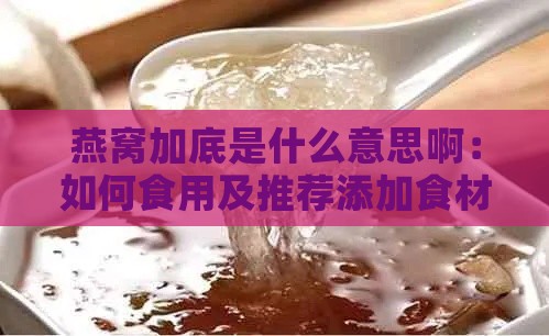 燕窝加底是什么意思啊：如何食用及推荐添加食材