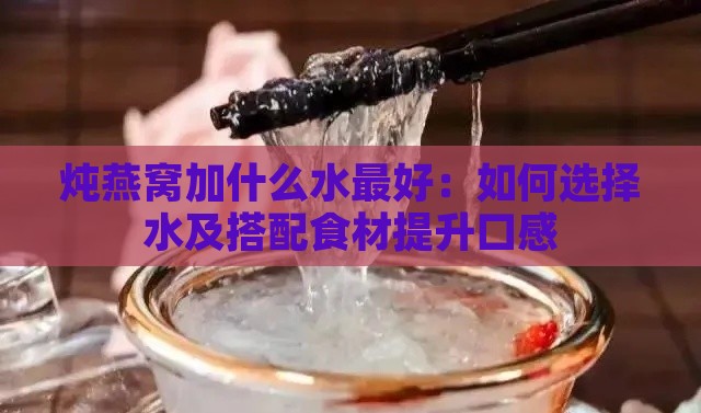 炖燕窝加什么水更好：如何选择水及搭配食材提升口感