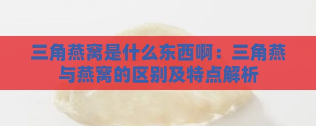 三角燕窝是什么东西啊：三角燕与燕窝的区别及特点解析