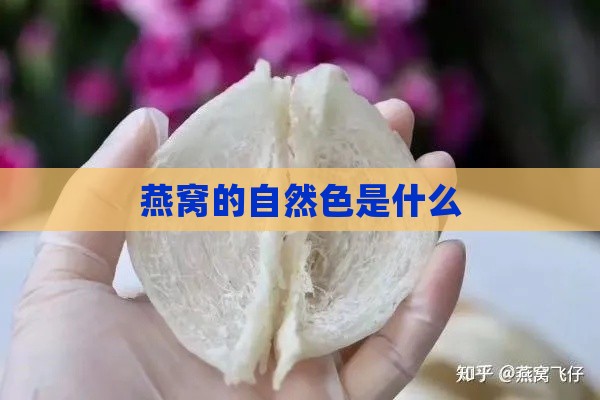 燕窝的自然色是什么