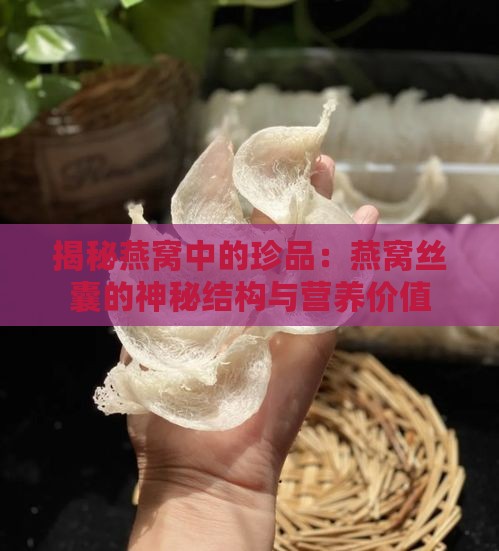 揭秘燕窝中的珍品：燕窝丝囊的神秘结构与营养价值