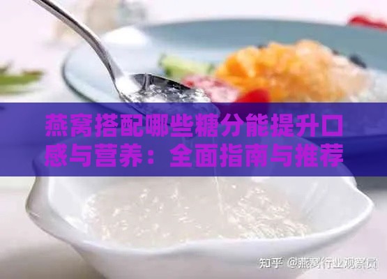 燕窝搭配哪些糖分能提升口感与营养：全面指南与推荐组合