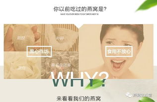 燕窝粘胶鉴别：揭密燕窝用胶水粘合法与涂胶真相