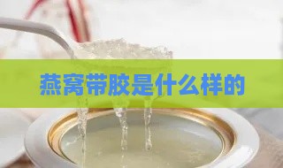 燕窝带胶是什么样的