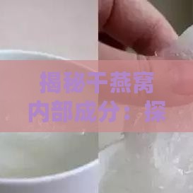 揭秘干燕窝内部成分：探究其珍贵营养价值