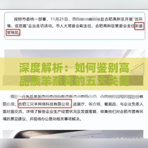 深度解析：如何鉴别高品质羊燕窝的五大关键特征与挑选技巧