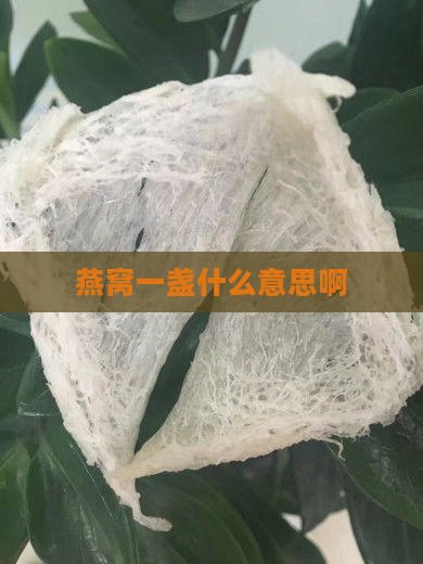 燕窝一盏什么意思啊