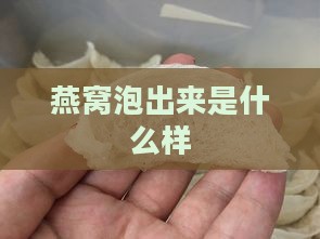 燕窝泡出来是什么样