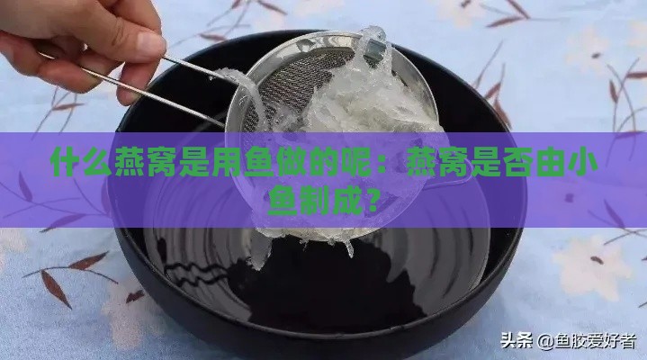 什么燕窝是用鱼做的呢：燕窝是否由小鱼制成？