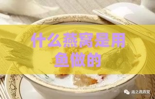 什么燕窝是用鱼做的