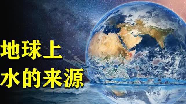 揭秘海底燕窝：探寻其真实来源与形成过程