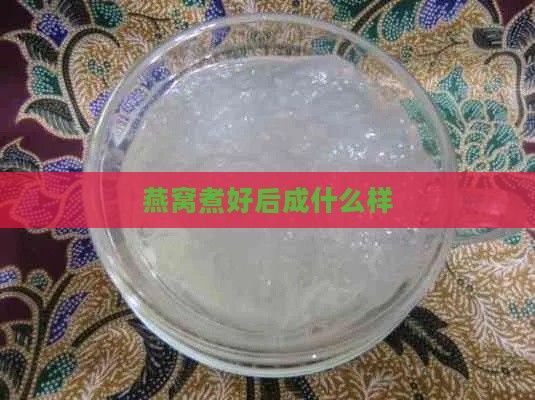 燕窝煮好后成什么样