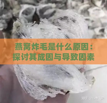 燕窝炸毛是什么原因：探讨其成因与导致因素