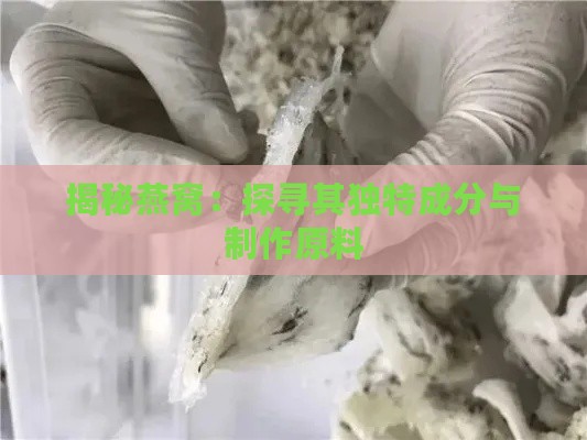 揭秘燕窝：探寻其独特成分与制作原料